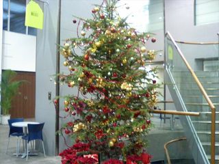 Christmas tree at Mikado Bldg