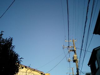 Clear sky and utility poles