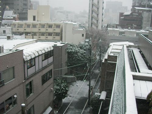 Snowing Roppongi