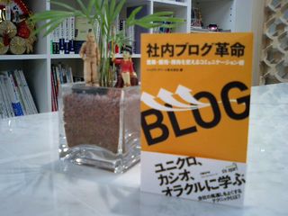 Intrablog revolution - Nikkei Business Publications